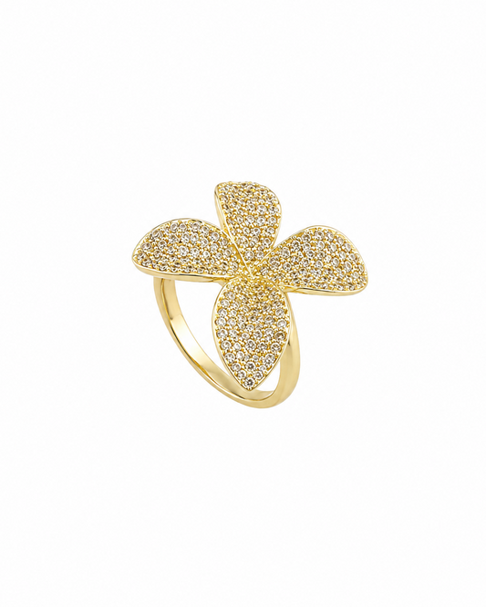 Anello Giusy